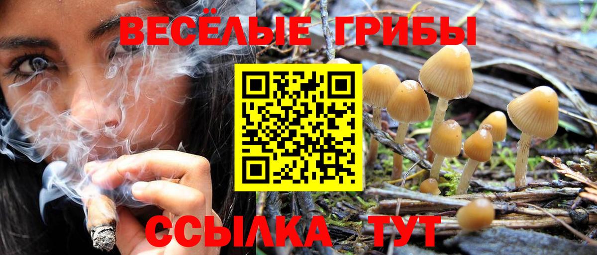 Новодвинск  Галлюциногенные грибы мицелий  даркнет сайт  Вход с VPN 