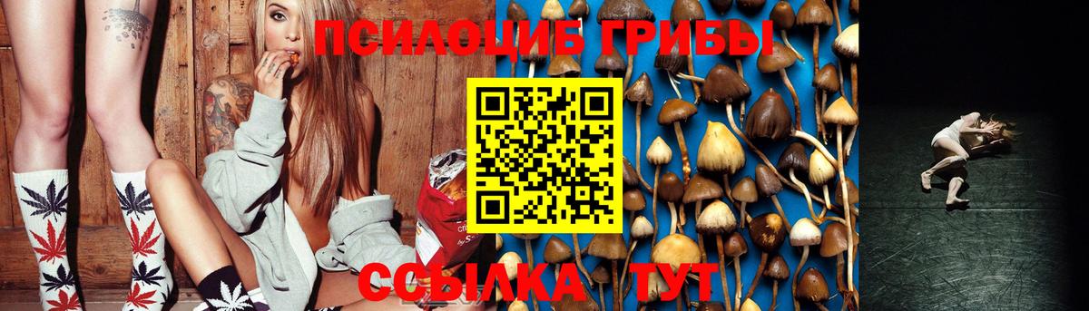 Галлюциногенные грибы Psilocybine cubensis Новодвинск