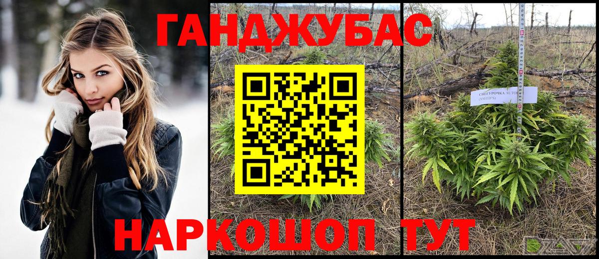 Конопля Amnesia  Вход с VPN  Марихуана планчик  Новодвинск  Канабис марихуана 